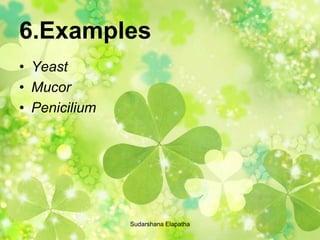 6.Examples
• Yeast
• Mucor
• Penicilium
Sudarshana Elapatha
 