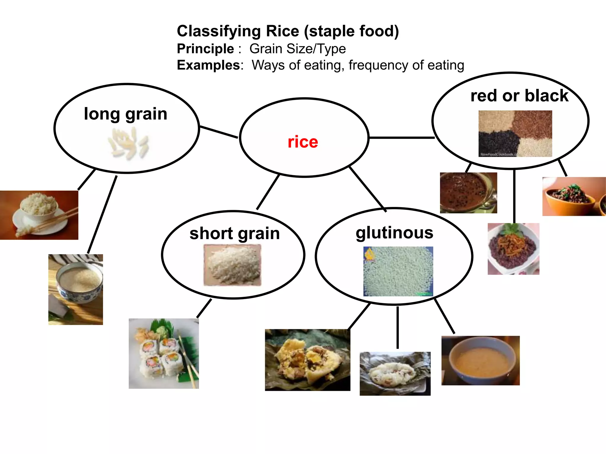 Classifying Rice (staple food)
             Principle : Grain Size/Type
             Examples: Ways of eating, frequency of eating

                                                             red or black
long grain
                              rice




               short grain              glutinous
 