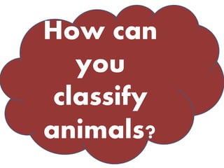 How can 
you 
classify 
animals? 
 