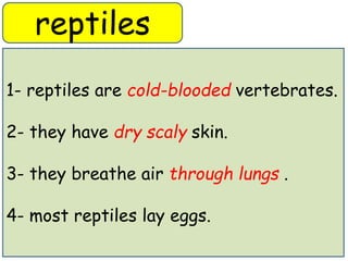 reptiles 
1- reptiles are cold-blooded vertebrates. 
2- they have dry scaly skin. 
3- they breathe air through lungs . 
4- most reptiles lay eggs. 
 