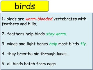 birds 
1- birds are warm-blooded vertebrates with 
feathers and bills. 
2- feathers help birds stay warm. 
3- wings and light bones help most birds fly. 
4- they breathe air through lungs . 
5- all birds hatch from eggs. 
 