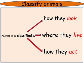 Classify animals 
how they look 
Animals ca be classified by where they live 
how they act 
 