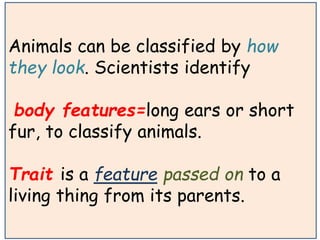 Animals can be classified by how 
they look. Scientists identify 
body features=long ears or short 
fur, to classify animals. 
Trait is a feature passed on to a 
living thing from its parents. 
 