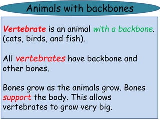 Animals with backbones 
Vertebrate is an animal with a backbone. 
(cats, birds, and fish). 
All vertebrates have backbone ...