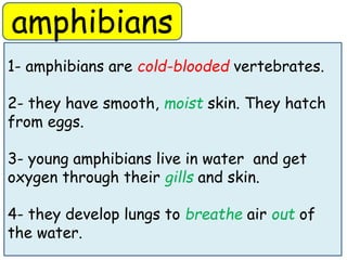 amphibians 
1- amphibians are cold-blooded vertebrates. 
2- they have smooth, moist skin. They hatch 
from eggs. 
3- young...
