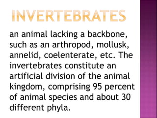 an animal lacking a backbone,
such as an arthropod, mollusk,
annelid, coelenterate, etc. The
invertebrates constitute an
artificial division of the animal
kingdom, comprising 95 percent
of animal species and about 30
different phyla.
 