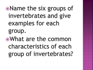 Name the six groups of
invertebrates and give
examples for each
group.
What are the common
characteristics of each
group of invertebrates?
 