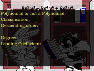 Classifying Polynomials