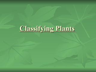 Classifying Plants   