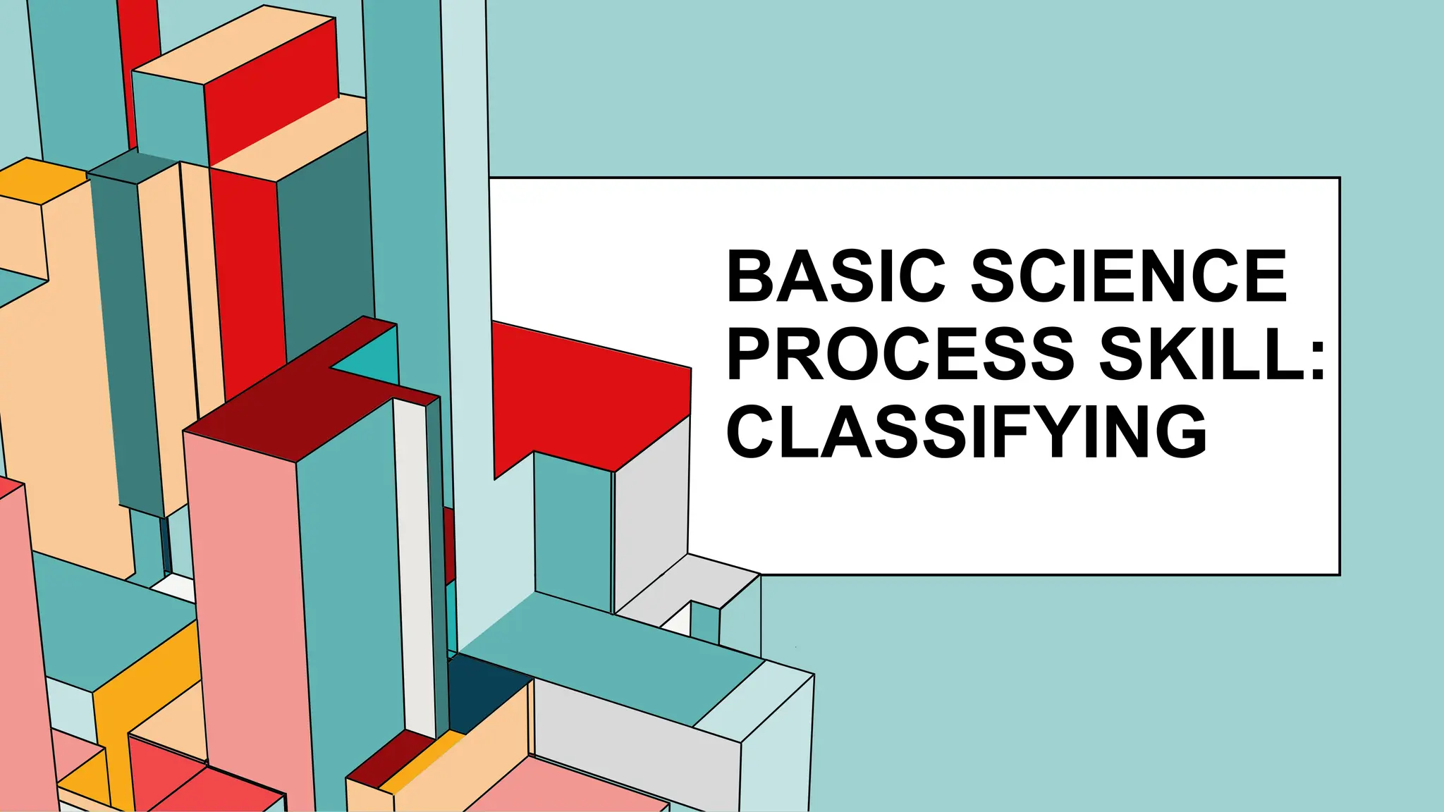 6.53
BASIC SCIENCE
PROCESS SKILL:
CLASSIFYING