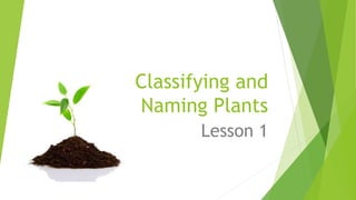 Classifying and
Naming Plants
Lesson 1
 