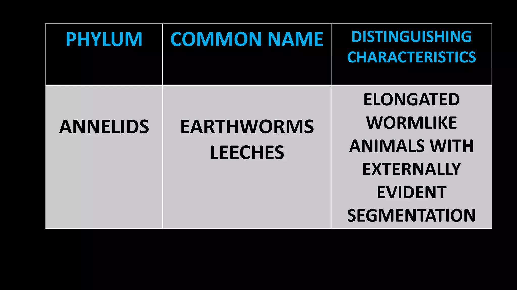 PHYLUM

ANNELIDS

COMMON NAME

EARTHWORMS
LEECHES

DISTINGUISHING
CHARACTERISTICS

ELONGATED
WORMLIKE
ANIMALS WITH
EXTERNALLY
EVIDENT
SEGMENTATION

 