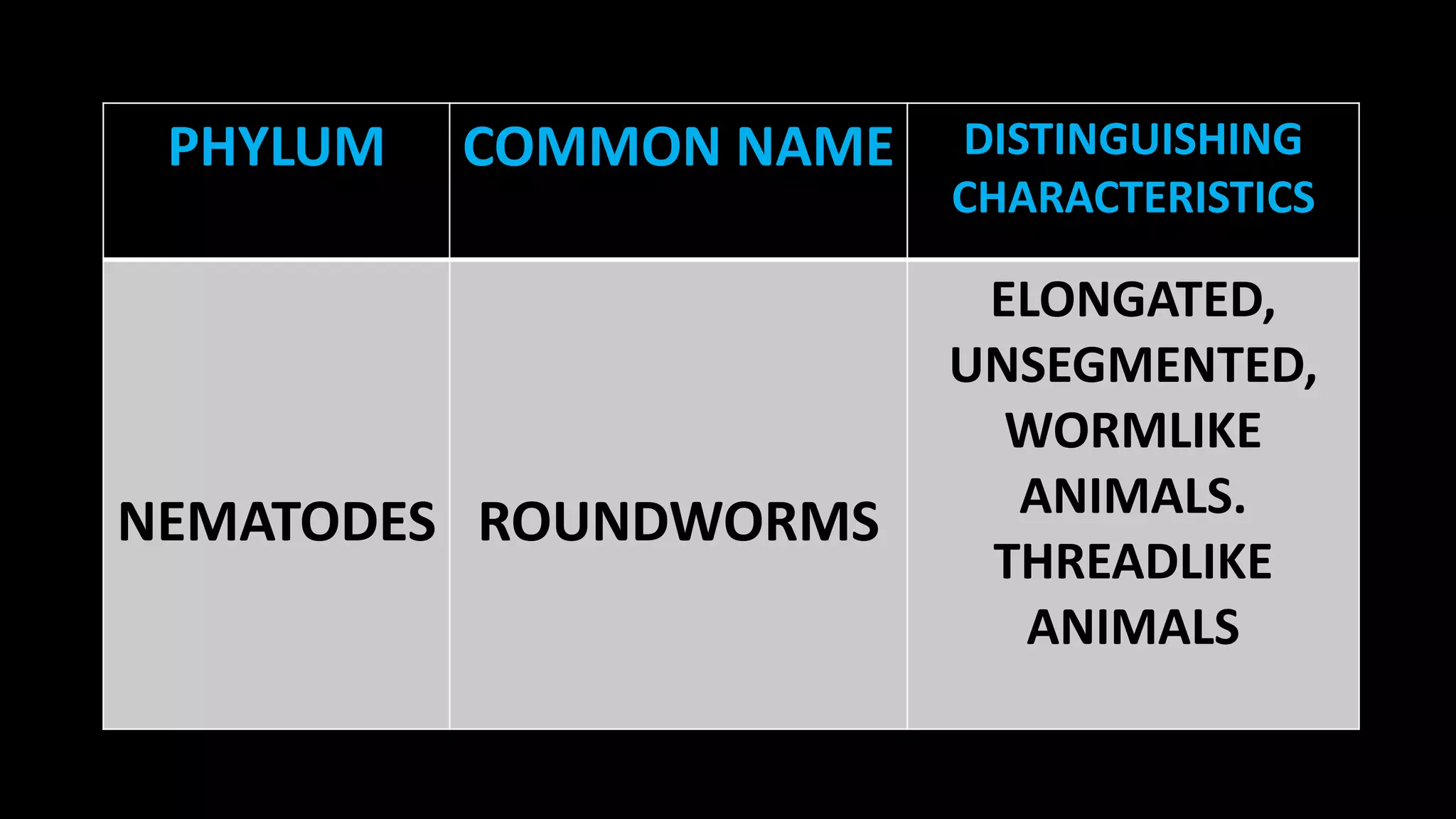 PHYLUM

COMMON NAME

NEMATODES ROUNDWORMS

DISTINGUISHING
CHARACTERISTICS

ELONGATED,
UNSEGMENTED,
WORMLIKE
ANIMALS.
THREADLIKE
ANIMALS

 