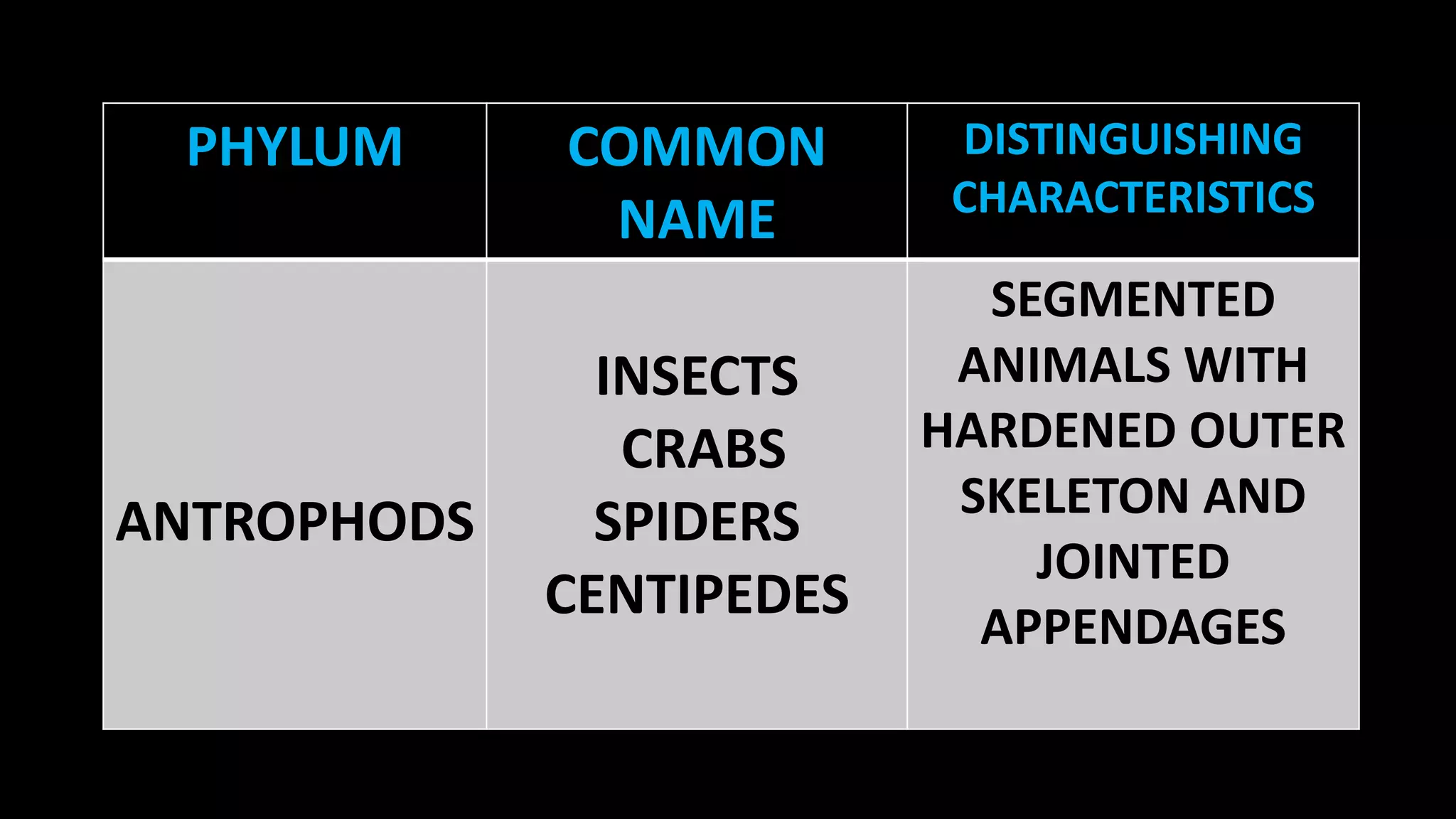 PHYLUM

ANTROPHODS

COMMON
NAME

DISTINGUISHING
CHARACTERISTICS

INSECTS
CRABS
SPIDERS
CENTIPEDES

SEGMENTED
ANIMALS WITH
HARDENED OUTER
SKELETON AND
JOINTED
APPENDAGES

 