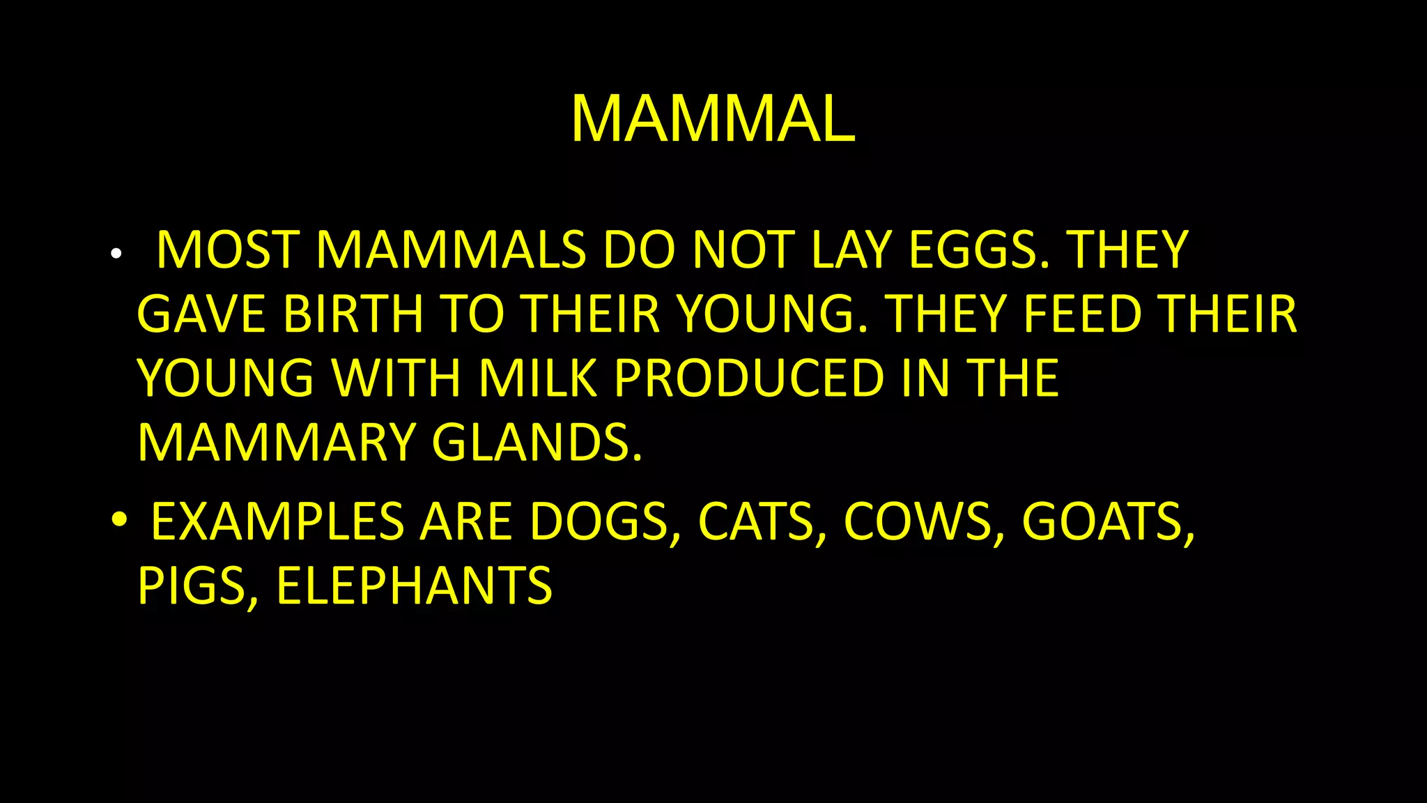 MAMMAL
MOST MAMMALS DO NOT LAY EGGS. THEY
GAVE BIRTH TO THEIR YOUNG. THEY FEED THEIR
YOUNG WITH MILK PRODUCED IN THE
MAMMARY GLANDS.
• EXAMPLES ARE DOGS, CATS, COWS, GOATS,
PIGS, ELEPHANTS
•

 