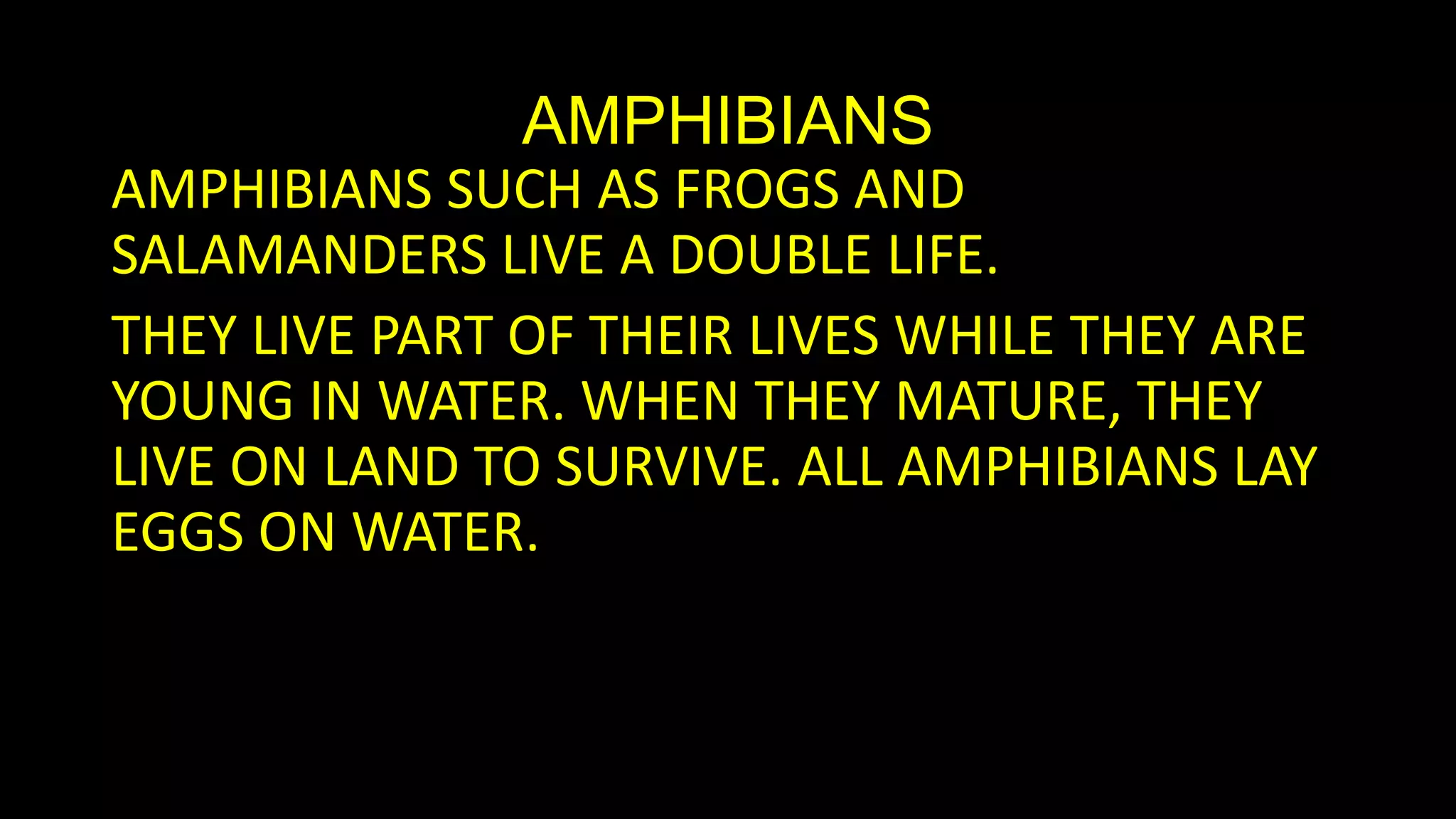 AMPHIBIANS
AMPHIBIANS SUCH AS FROGS AND
SALAMANDERS LIVE A DOUBLE LIFE.
THEY LIVE PART OF THEIR LIVES WHILE THEY ARE
YOUNG IN WATER. WHEN THEY MATURE, THEY
LIVE ON LAND TO SURVIVE. ALL AMPHIBIANS LAY
EGGS ON WATER.

 