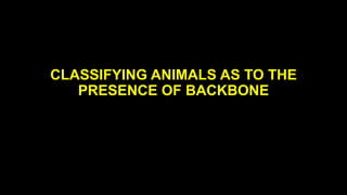 CLASSIFYING ANIMALS AS TO THE
PRESENCE OF BACKBONE

 
