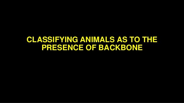 classifying animals as to the presence of backbone