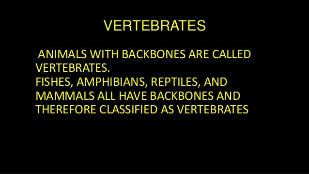 Classifying Animals As To The Presence Of Backbone