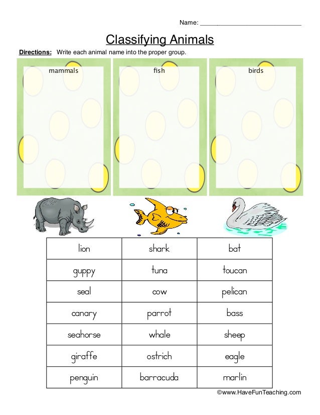 Classifying Animals Worksheet Classifying Animals Worksheet