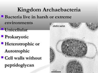 Kingdom ArchaebacteriaKingdom Archaebacteria
 Bacteria live in harsh or extremeBacteria live in harsh or extreme
environmentsenvironments
 UnicellularUnicellular
 ProkaryoticProkaryotic
 Heterotrophic orHeterotrophic or
AutotrophicAutotrophic
 Cell walls withoutCell walls without
peptidoglycanpeptidoglycan
 