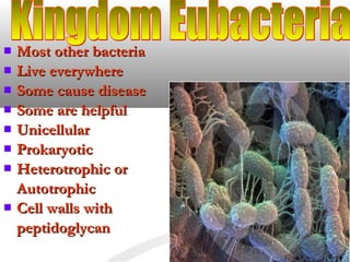  Most other bacteriaMost other bacteria
 Live everywhereLive everywhere
 Some cause diseaseSome cause disease
 Some are helpfulSome are helpful
 UnicellularUnicellular
 ProkaryoticProkaryotic
 Heterotrophic orHeterotrophic or
AutotrophicAutotrophic
 Cell walls withCell walls with
peptidoglycanpeptidoglycan
 