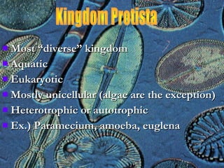  Most “diverse” kingdomMost “diverse” kingdom
 AquaticAquatic
 EukaryoticEukaryotic
 Mostly unicellular (algae are the exception)Mostly unicellular (algae are the exception)
 Heterotrophic or autotrophicHeterotrophic or autotrophic
 Ex.) Paramecium, amoeba, euglenaEx.) Paramecium, amoeba, euglena
 
