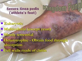  EukaryoticEukaryotic
 Multicellular (except yeast)Multicellular (except yeast)
 Mostly terrestrialMostly terrestrial
 Heterotrophic - Obtain food throughHeterotrophic - Obtain food through
absorptionabsorption
 Cell walls made of chitinCell walls made of chitin
 