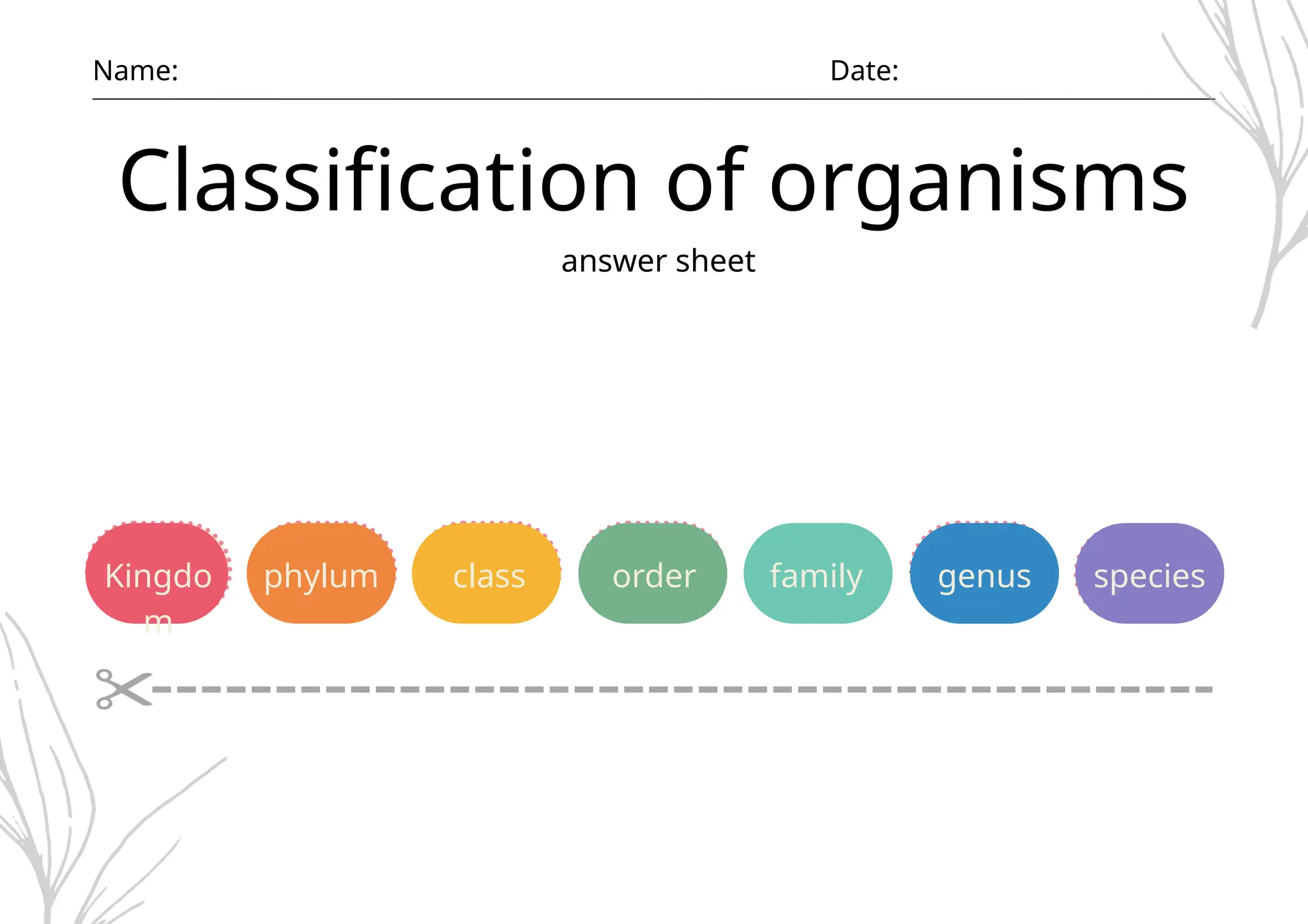 Classifying Organisms Digital and Printable Taxonomy Worksheet .pptx ...