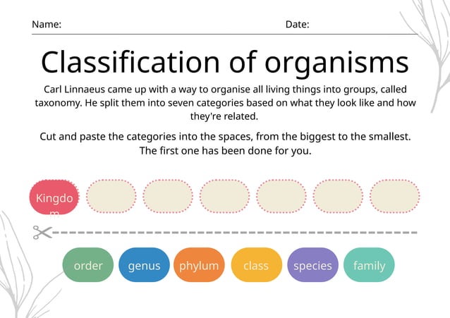 Classifying Organisms Digital and Printable Taxonomy Worksheet .pptx ...