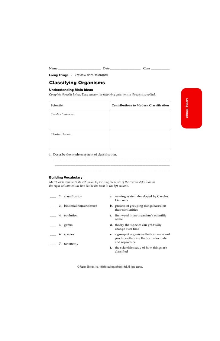 worksheet Classification Of Life Worksheet Answers classifying organisms review 1 2 a name
