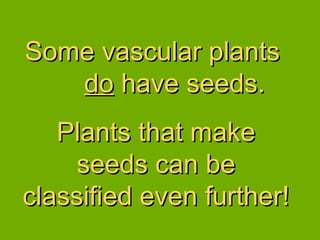 Some vascular plants  do  have seeds.  Plants that make seeds can be classified even further! 
