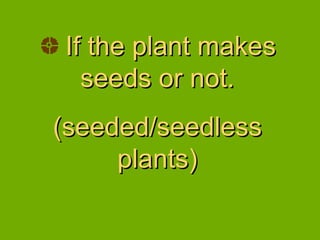 If the plant makes seeds or not. (seeded/seedless plants) 