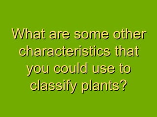 What are some other characteristics that you could use to classify plants? 