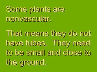 Some plants are nonvascular.  That means they do not have tubes.  They need to be small and close to the ground. 