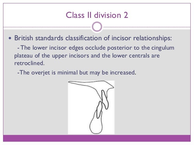 Classification & Division Paper Ideas