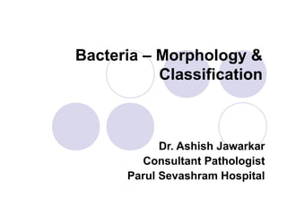 Bacteria – Morphology &
Classification

Dr. Ashish Jawarkar
Consultant Pathologist
Parul Sevashram Hospital

 