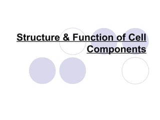 Structure & Function of Cell
Components

 