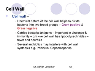 Cell Wall


Cell wall –
4. Chemical

nature of the cell wall helps to divide
bacteria into two broad groups – Gram positive &
Gram negative
5. Carries bacterial antigens – important in virulence &
immunity – gm –ve cell wall has lipopolysachhrides –
fever and necrosis
6. Several antibiotics may interfere with cell wall
synthesis e.g. Penicillin, Cephalosporins

Dr. Ashish Jawarkar

12

 