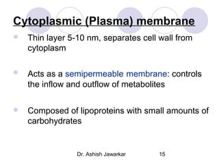 Cytoplasmic (Plasma) membrane


Thin layer 5-10 nm, separates cell wall from
cytoplasm



Acts as a semipermeable membrane: controls
the inflow and outflow of metabolites



Composed of lipoproteins with small amounts of
carbohydrates

Dr. Ashish Jawarkar

15

 