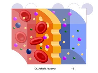 Dr. Ashish Jawarkar

16

 