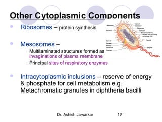 Other Cytoplasmic Components


Ribosomes – protein synthesis



Mesosomes –
Multilaminated structures formed as
invaginations of plasma membrane
2. Principal sites of respiratory enzymes
1.



Intracytoplasmic inclusions – reserve of energy
& phosphate for cell metabolism e.g.
Metachromatic granules in diphtheria bacilli

Dr. Ashish Jawarkar

17

 