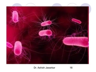 Dr. Ashish Jawarkar

18

 