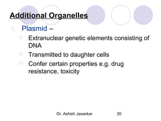 Additional Organelles
1.

Plasmid –





Extranuclear genetic elements consisting of
DNA
Transmitted to daughter cells
Confer certain properties e.g. drug
resistance, toxicity

Dr. Ashish Jawarkar

20

 