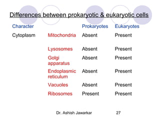 Differences between prokaryotic & eukaryotic cells
Character
Cytoplasm

Prokaryotes

Eukaryotes

Mitochondria

Absent

Present

Lysosomes

Absent

Present

Golgi
apparatus

Absent

Present

Endoplasmic
reticulum

Absent

Present

Vacuoles

Absent

Present

Ribosomes

Present

Present

Dr. Ashish Jawarkar

27

 