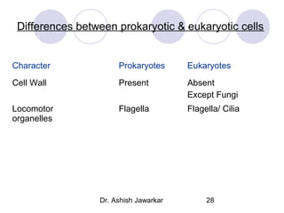 Differences between prokaryotic & eukaryotic cells

Character

Prokaryotes

Eukaryotes

Cell Wall

Present

Absent
Except Fungi

Locomotor
organelles

Flagella

Flagella/ Cilia

Dr. Ashish Jawarkar

28

 