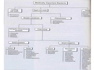 Dr. Ashish Jawarkar

29

 