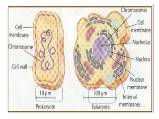 Dr. Ashish Jawarkar

5

 