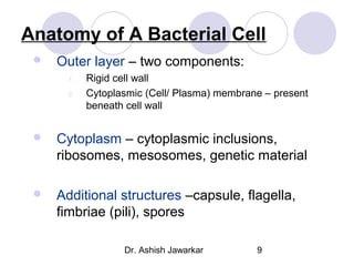 Anatomy of A Bacterial Cell


Outer layer – two components:
1.
2.

Rigid cell wall
Cytoplasmic (Cell/ Plasma) membrane – present
beneath cell wall



Cytoplasm – cytoplasmic inclusions,
ribosomes, mesosomes, genetic material



Additional structures –capsule, flagella,
fimbriae (pili), spores
Dr. Ashish Jawarkar

9

 