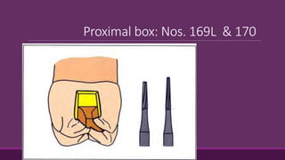 Proximal box: Nos. 169L & 170
 